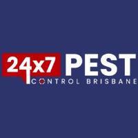 247 Fly Pest Control Brisbane image 3